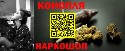 spice Кингисепп