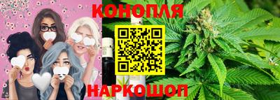 spice Кингисепп