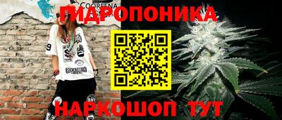 spice Кингисепп