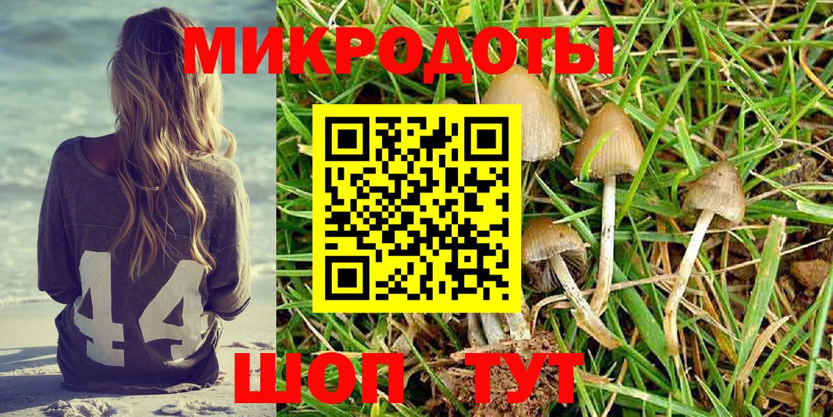 Галлюциногенные грибы Psilocybe  Вход с VPN  Карачаевск 