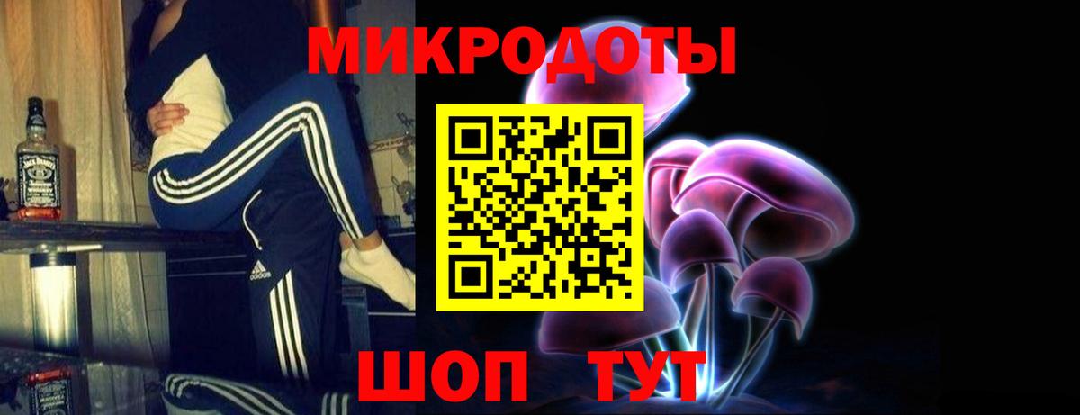 Галлюциногенные грибы GOLDEN TEACHER Карачаевск